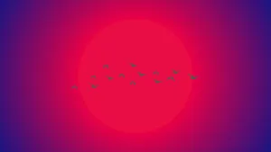 Birds Flying Against The Sun Minimalist Aesthetic Laptop Wallpaper