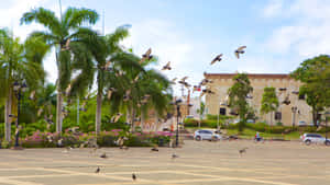 Birds Flying Near The Alcazar De Colon Wallpaper