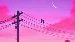 Birds Silhouette Over Pink Moon Sky Wallpaper