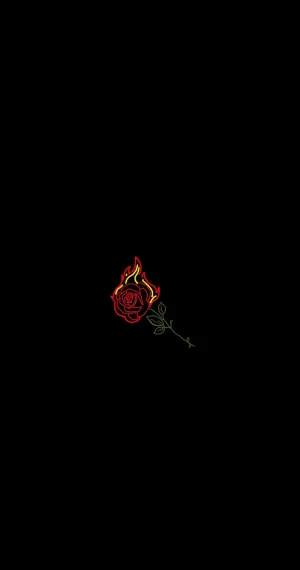 Black Aesthetic Iphone Blazing Rose Wallpaper