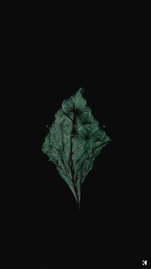 Black Aesthetic Iphone Dried Leaf Wallpaper