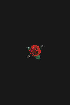 Black Aesthetic Rose 3d Wallpaper