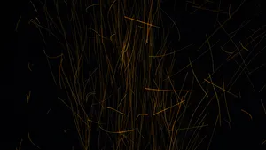 Black And Gold Spark Lines Wallpaper