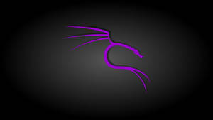 Black And Purple Aesthetic Kali Linux Wallpaper