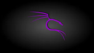 Black And Purple Aesthetic Kali Linux Wallpaper