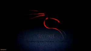 Black And Red Kali Linux Wallpaper