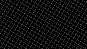 Black And White Aesthetic White Gridlines Wallpaper