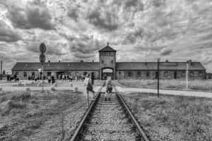 Black And White Auschwitz Birkenau Concentration Camp Wallpaper