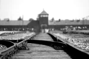 Black And White Auschwitz Concentration Camp Wallpaper