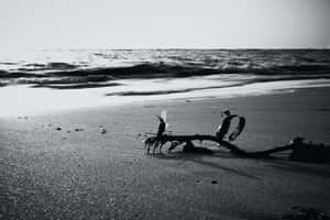 Black And White Beach Serenity Wallpaper