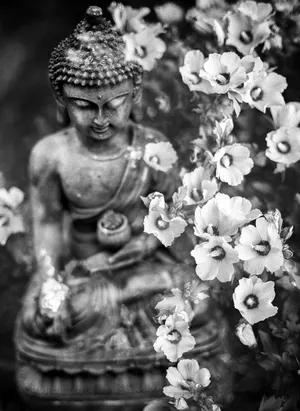 Black And White Buddha Hd Wallpaper