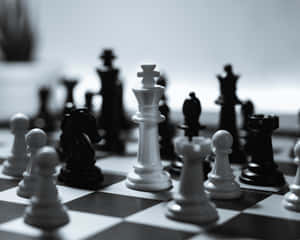 Black And White Chess Duel On Board Wallpaper