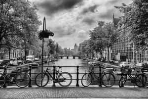 Black And White City Bicycles Wallpaper