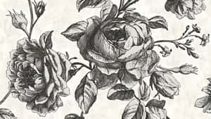 Black And White Floral Art Wallpaper