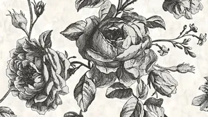 Black And White Floral Art Wallpaper