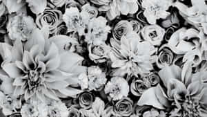 Black And White Floral Elegance Wallpaper
