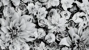 Black And White Floral Elegance Wallpaper