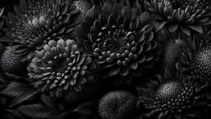 Black And White Floral Elegance Wallpaper