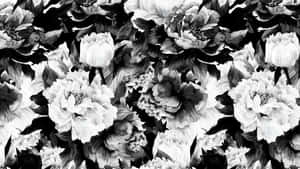 Black And White Floral Elegance Wallpaper