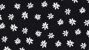 Black And White Floral Pattern Wallpaper