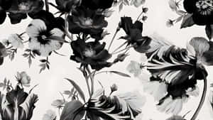Black And White Floral Pattern Wallpaper