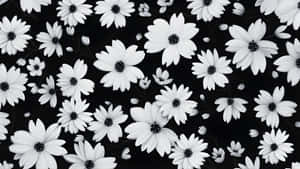 Black And White Floral Pattern Wallpaper