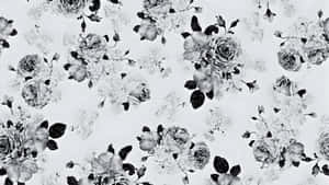 Black And White Floral Pattern Wallpaper