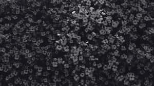 Black And White Floral Pattern Wallpaper
