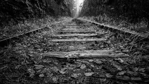 Black And White Hd Railway Wallpaper