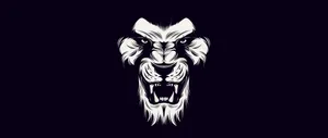 Black And White Lion Head Wallpaper