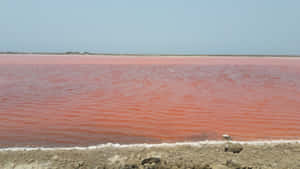 Black And White Mountain View Wallpaper