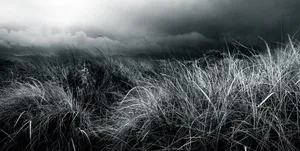 Black And White Nature Landscape Wallpaper