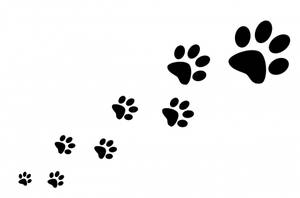 Black And White Paw Print Wallpaper