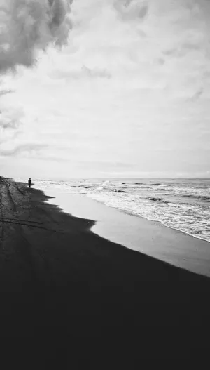 Black And White Serene Beach Wallpaper