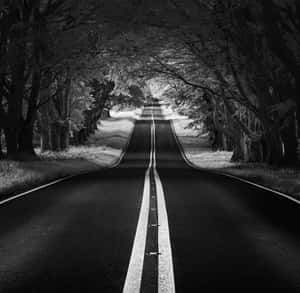 Black And White Street Scene Wallpaper