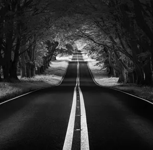 Black And White Street Scene Wallpaper