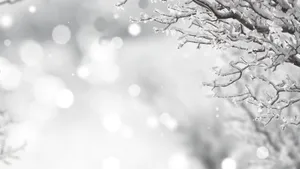 Black And White Winter Wonderland Desktop Wallpaper