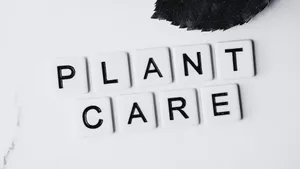 Black And White Word Art Wallpaper Wallpaper