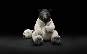 Black Bear As Polar Bear Wallpaper