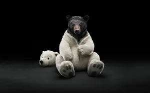 Black Bear As Polar Bear Wallpaper