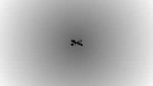 Black Bow Minimalist Design Wallpaper