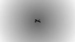 Black Bow Minimalist Design Wallpaper