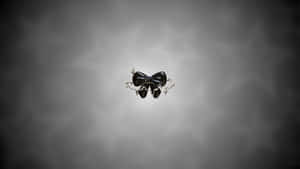 Black Bow On Gray Background Wallpaper