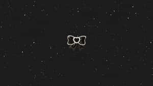 Black Bow On Starry Background Wallpaper