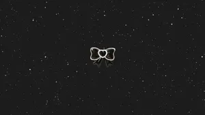Black Bow On Starry Background Wallpaper