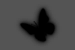 Black Butterfly Silhouette Wallpaper