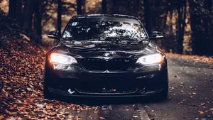 Black Car Autumn Road Trip Wallpaper