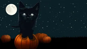 Black Cat Pumpkins Halloween Night Wallpaper