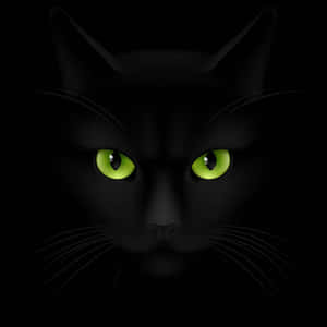 Black Cat With Green Eyes Digital Art Wallpaper