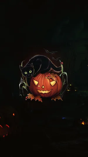Black Catand Jack O Lantern Halloween Wallpaper